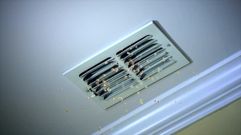Ventilation Cleaning Services in Florence Graham, CA